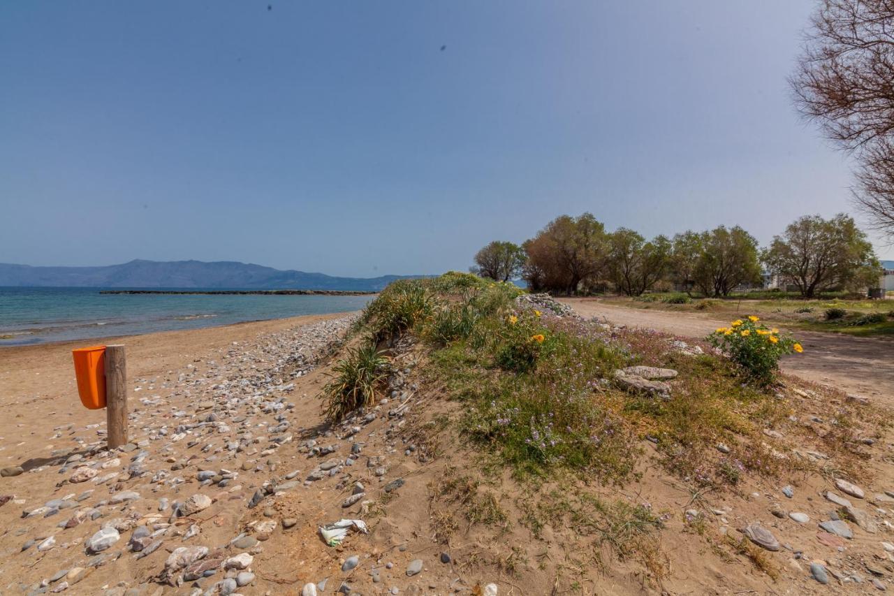 Kissamos Sea View Beach Apartments Dış mekan fotoğraf